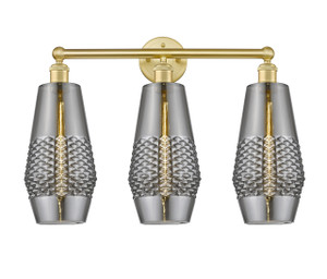Windham - 3 Light - 25 inch - Satin Gold - Bath Vanity Light (616-3W-SG-G683-7)