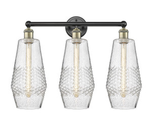 Windham - 3 Light - 25 inch - Black Antique Brass - Bath Vanity Light (616-3W-BAB-G684-7)