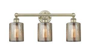 Cobbleskill - 3 Light - 23 inch - Antique Brass - Bath Vanity Light (616-3W-AB-G116)