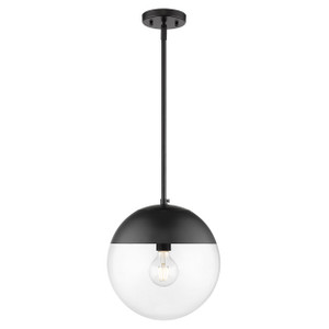 1 Light Pendant with Rod (3219-L BLK-BLK)