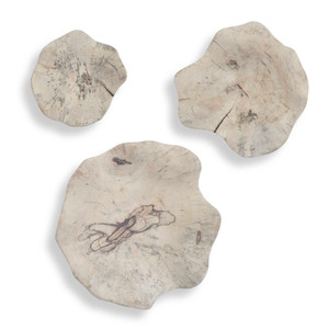 Teo Bleached Wood Wall Decor Set/3 (03505)