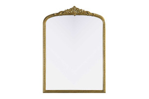 Naomi Vintage Resin Mirror 30x42 in Antique Brass (MR7F3042AB)