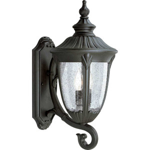 Meridian Collection Two-Light Large Wall Lantern (P5823-31)