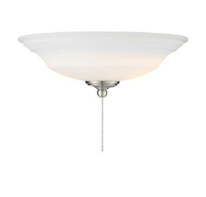 2-Light Fan Light Kit in Brushed Pewter (FLG-1200-187)