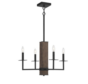 4-Light Chandelier in Remington (M10089DG)
