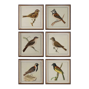 Spring Soldiers Bird Prints, S/6 (33627)