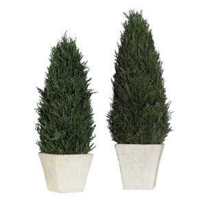 Cypress Cone Topiaries, S/2 (60140)