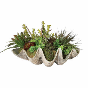 Sea Coast Succulents (60116)
