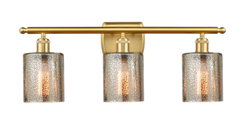 Cobbleskill 3 Light Bath Vanity Light In Satin Gold (516-3W-Sg-G116)