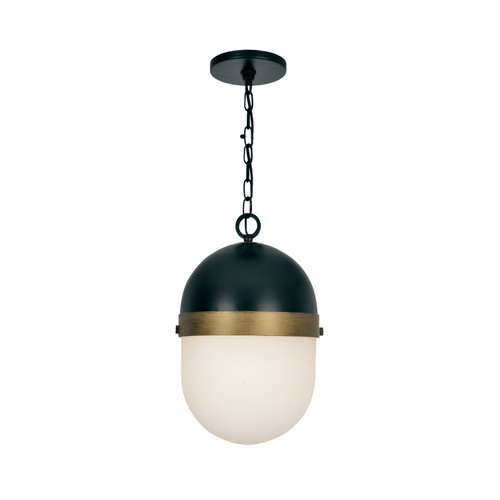 Brian Patrick Flynn Outdoor 1 Light Black & Gold Pendant (CAP-8505-MK-TG)