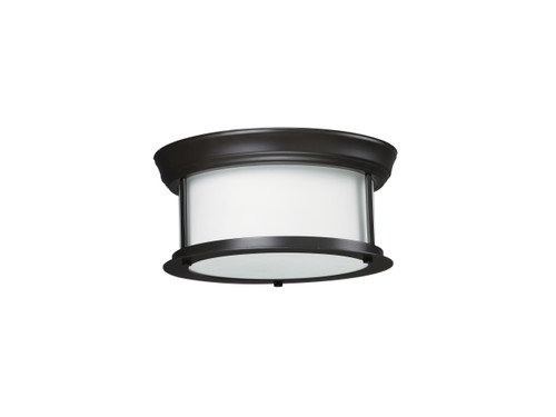 Sonna 2 Light Ceiling in Bronze (2004F10-BRZ)