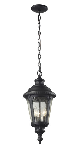 Medow Outdoor Chain Light in Black (545CHM-BK)