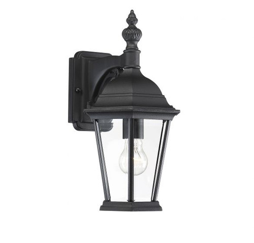 1-Light Outdoor Wall Lantern in Black (M50062BK)