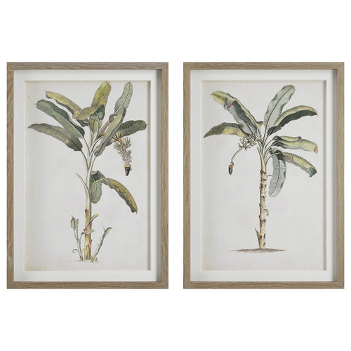 Banana Palm Framed Wall Prints, Set of 2 (41446)