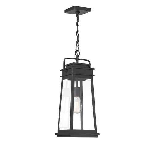 Boone 1-Light Outdoor Hanging Lantern in Matte Black (5-816-BK)
