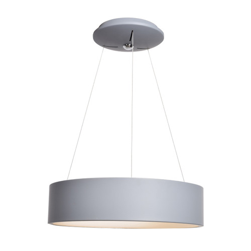 Radiant Gray Dual Voltage LED Pendant (50940LEDD-GRY/ACR)