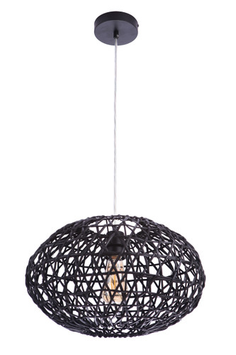 Natural Pendant 1 Light Pendant w/ Woven Black Rattan Orb (P2003-FB)