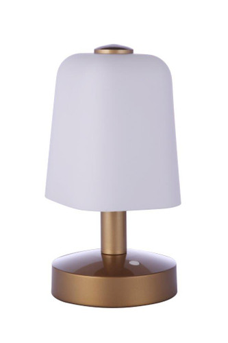 Outdoor Rechargeable Dimmable LED Portable Lamp in Satin Brass (86278R-LED)