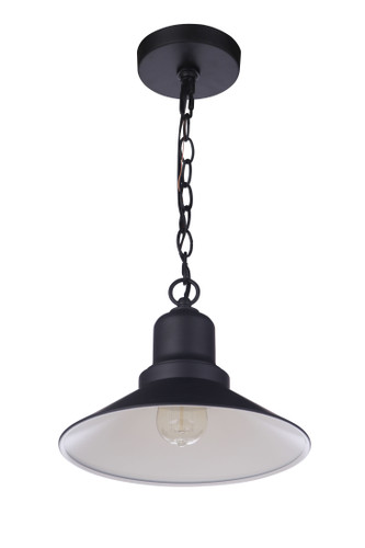 Singleton 1 Light 11" Outdoor Pendant in Midnight (ZA5401-MN)