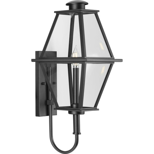 Bradshaw Collection One-Light Textured Black Clear Glass Transitional Medium Outdoor Wall Lantern (P560348-031)