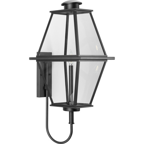 Bradshaw Collection One-Light Textured Black Clear Glass Transitional Large Outdoor Wall Lantern (P560349-031)