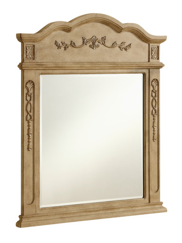 Danville 32 In. Traditional Mirror In Antique Beige (VM3001AB)