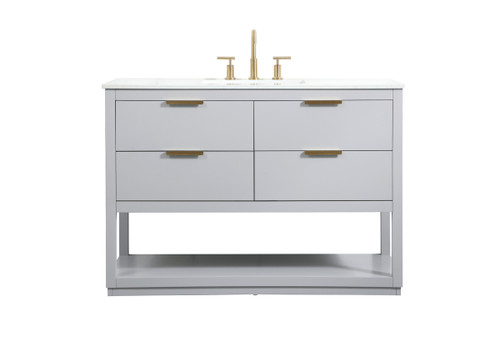 48 Inch Single Bathroom Vanity In Grey (VF19248GR)