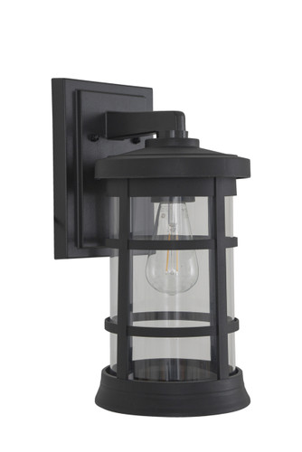 Resilience Large Outdoor Lantern in Textured Black, Clear Lens (ZA2314-TB-C)