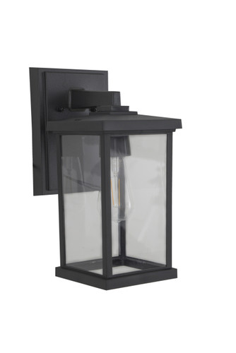 Resilience 1 Light Outdoor Lantern in Textured Black (ZA2414-TB-C)