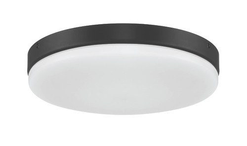 Mondo LED Light Kit in Flat Black (MNDLK-FB-LED)