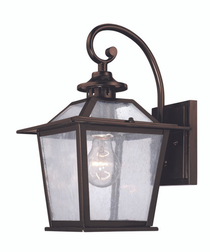 Salem 1-Light Architectural Bronze Wall Light (9702ABZ)