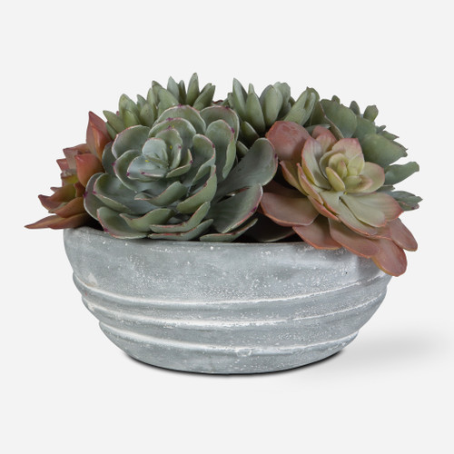 Peoria Succulent Accent (60212)