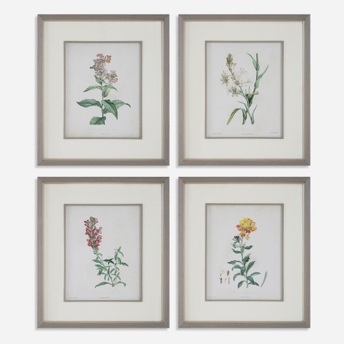 Heirloom Blooms Study Framed Prints Set/4 (32285)