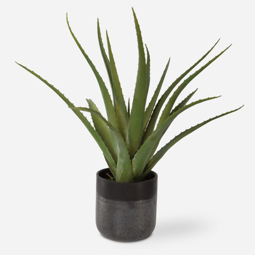 Tucson Aloe Planter (60204)