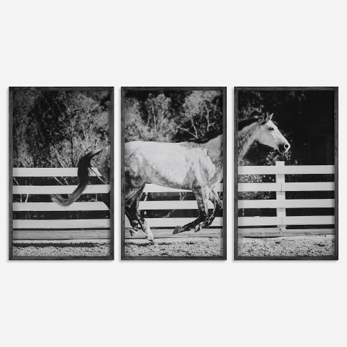 Galloping Forward Equine Prints, Set/3 (32279)