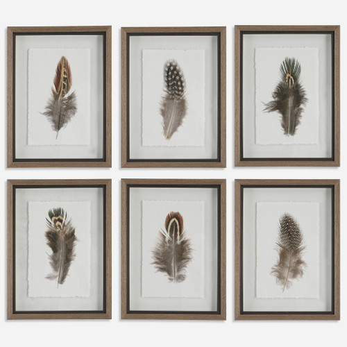 Birds Of A Feather Framed Prints, S/6 (41460)