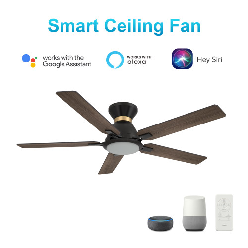 Espear 52-inch Smart Ceiling Fan with Remote, Light Kit Included, Works with Google Assistant, Amazon Alexa, and Siri Shortcuts. (VS525J-L12-BG-1-FMA)