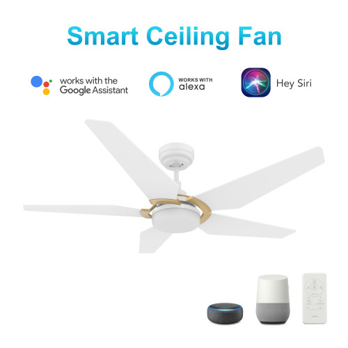 Woodrow 52-inch Smart Ceiling Fan with Remote, Light Kit Included, Works with Google Assistant, Amazon Alexa, and Siri Shortcuts. (VS525B-L22-W1-1G)