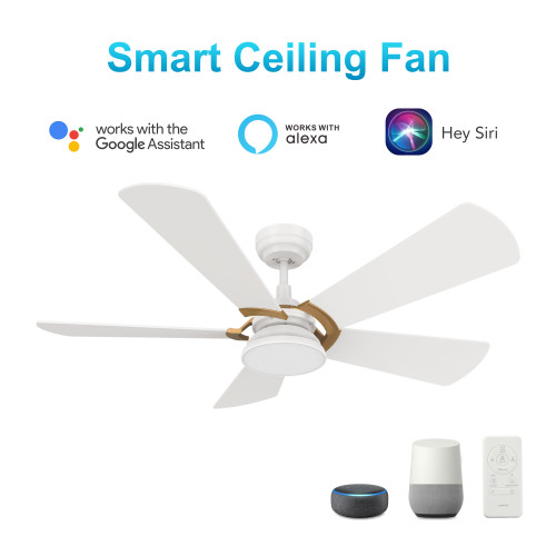 Savili 52'' Smart Ceiling Fan with Remote, Light Kit Included?Works with Google Assistant and Amazon Alexa,Siri Shortcut. (VS525B6-L12-W1-1G)