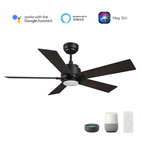 Ascender 60-inch Smart Ceiling Fan with Remote, Light Kit Included, Works with Google Assistant, Amazon Alexa, and Siri Shortcuts. (VS605J1-L11-BG-1)