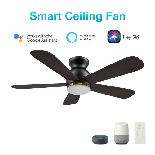 Dubois 48'' Smart Ceiling Fan with Remote, Light Kit Included?Works with Google Assistant and Amazon Alexa,Siri Shortcut. (VS485Q-L12-BG-1-FM)