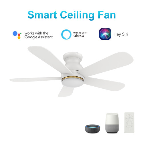 Dubois 48'' Smart Ceiling Fan with Remote, Light Kit Included?Works with Google Assistant and Amazon Alexa,Siri Shortcut. (VS485Q-L12-W1-1-FM)