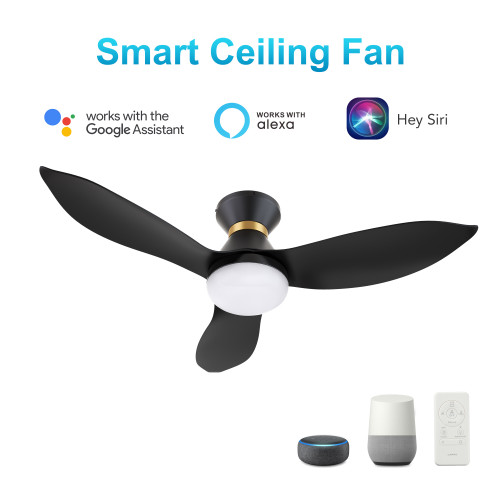 Ryatt 45'' Smart Ceiling Fan with Remote, Light Kit Included?Works with Google Assistant and Amazon Alexa,Siri Shortcut. (VS453V-L22-B2-1-FM)