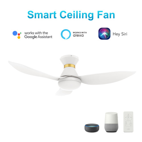 Ryatt 45'' Smart Ceiling Fan with Remote, Light Kit Included?Works with Google Assistant and Amazon Alexa,Siri Shortcut. (VS453V-L22-W1-1-FMA)
