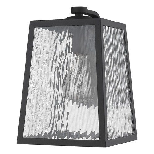 Hirche 1-Light Matte Black Wall Light (1612BK)