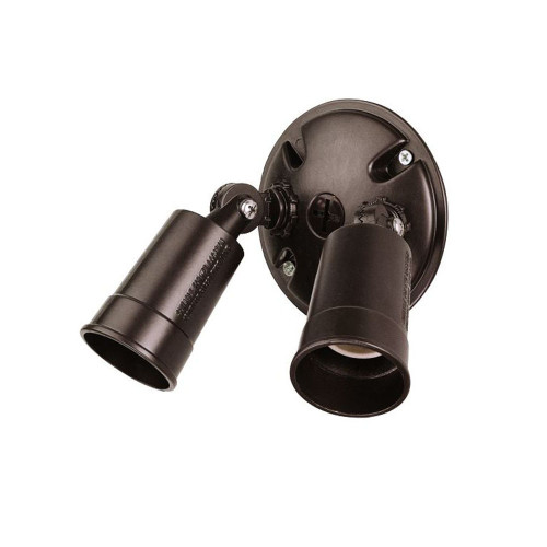 2-Light Architectural Bronze Cast Aluminum Floodlight (FL1ABZ)