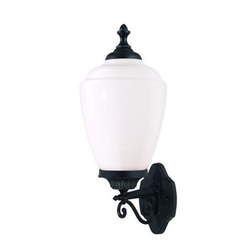 Acorn 1-Light Matte Black Wall Light (5361BK/WH)