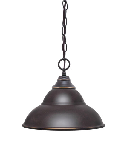 Chain Hung Pendant, Dark Granite Finish, 13" Dark Granite Double Bubble Metal Shade (10-DG-428-DG)