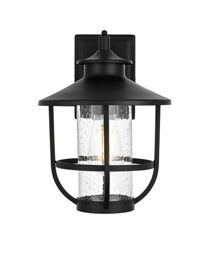 Elegant Furniture and Lighting Janney 9 Inch Outdoor Wall Sconce In Black (OD314W13BK)