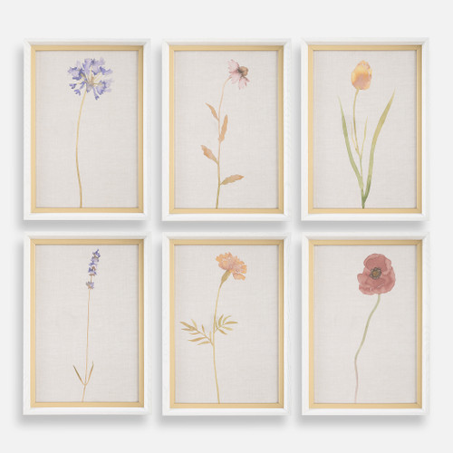 Wild Flourish Framed Floral Prints Set/6 (32384)